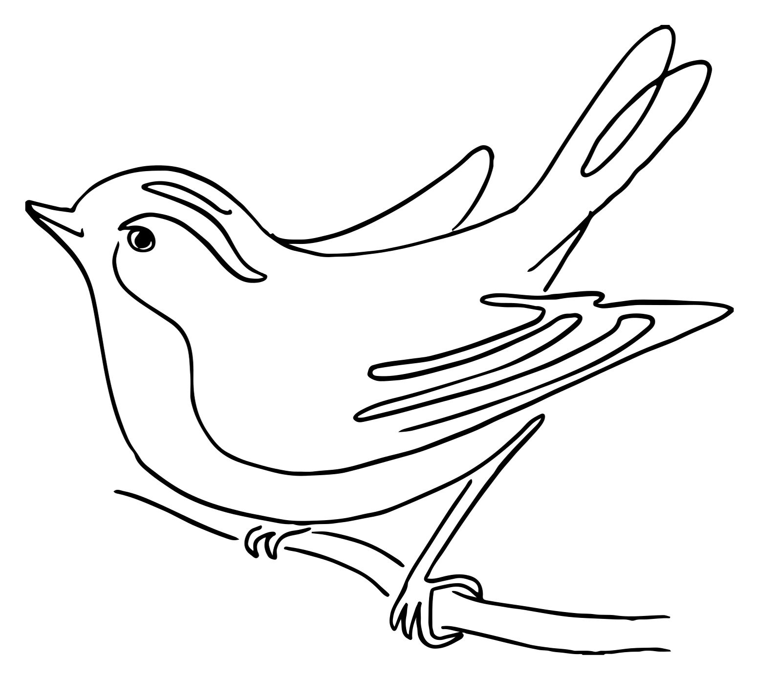 The Story Of The Sparrows Sparrow